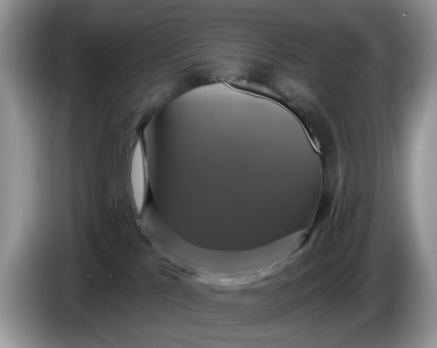 X0000086220041200704121905