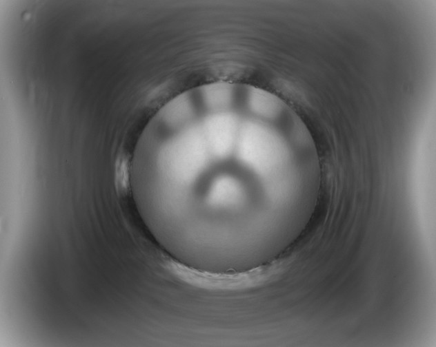 X0000086220042200704121905