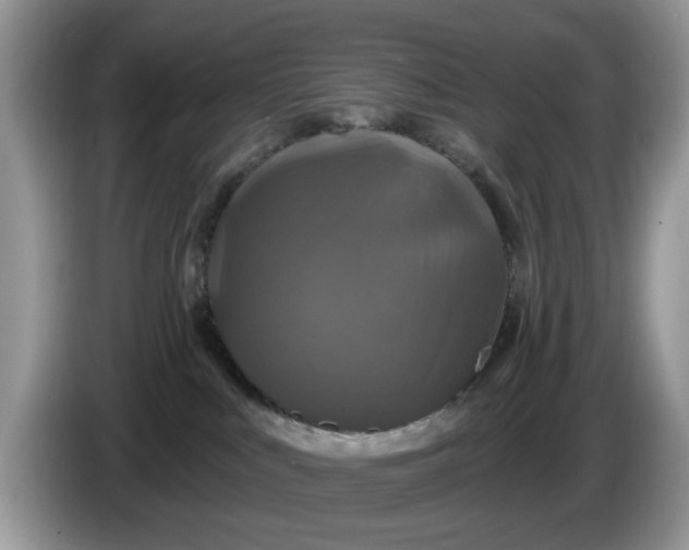 X0000086220043200704121905