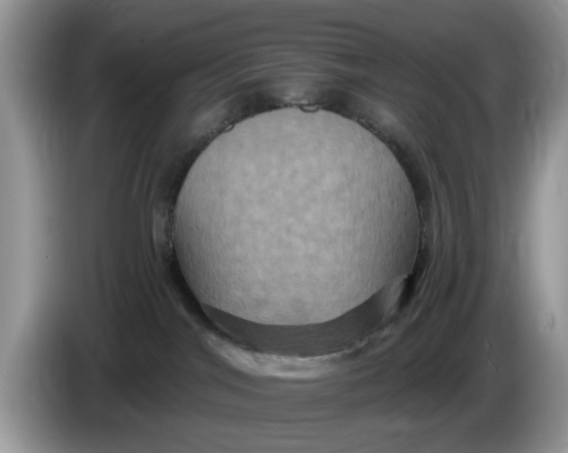 X0000086220044200704121905