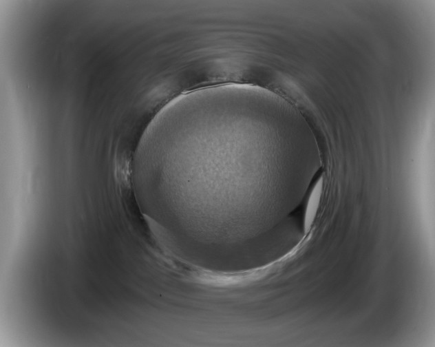 X0000086220045200704121905