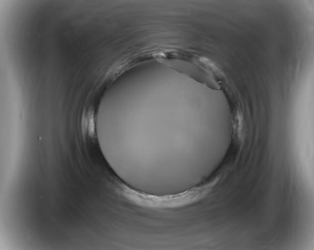 X0000086220046200704121905