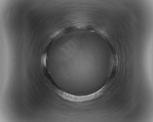 X0000086220047200704121905