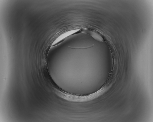 X0000086220048200704121905