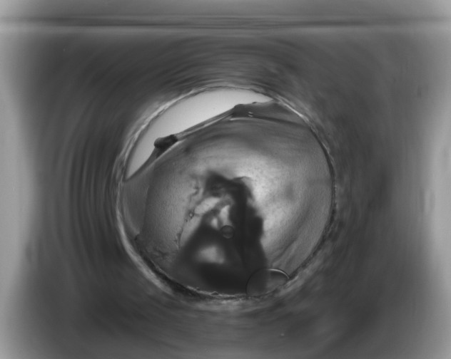 X0000086220049200704121904