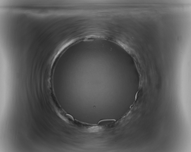 X0000086220050200704121904