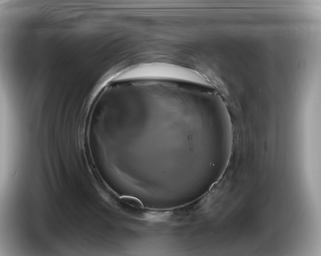 X0000086220051200704121904