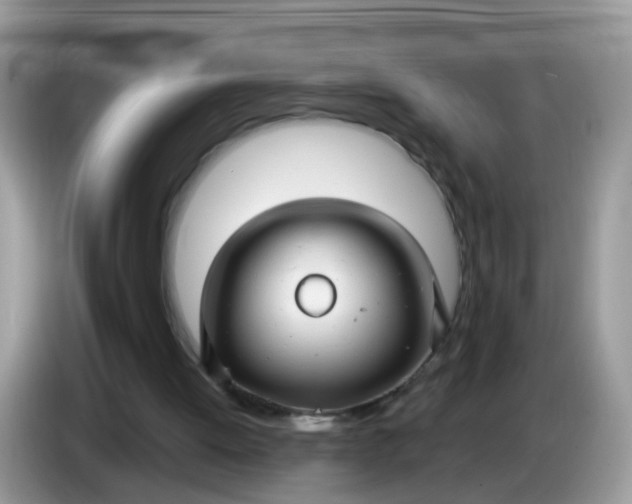 X0000086220052200704121904