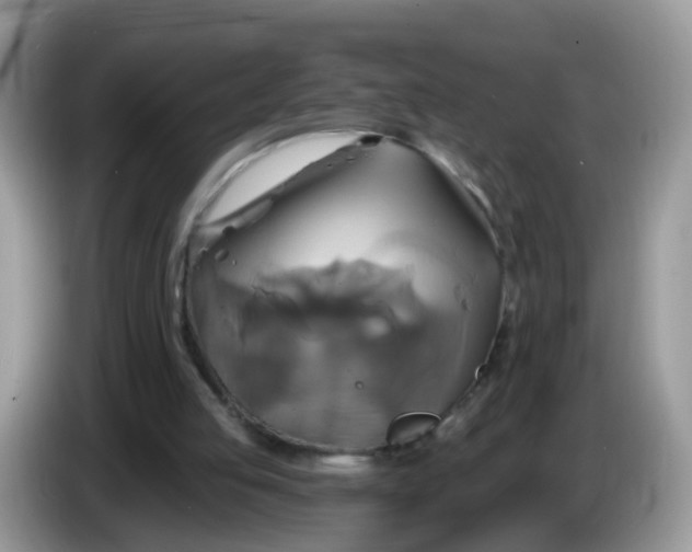 X0000086220053200704121904