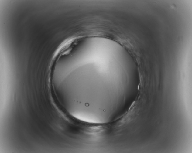 X0000086220054200704121904