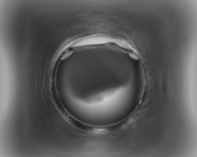 X0000086220055200704121904