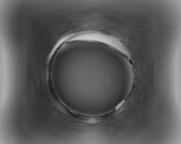 X0000086220056200704121904