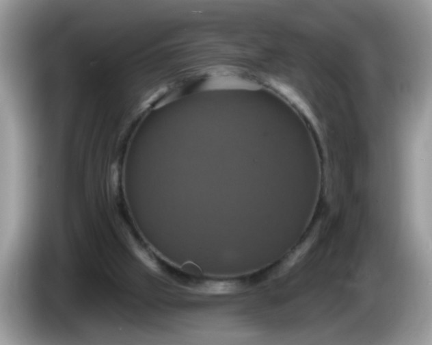 X0000086220057200704121904