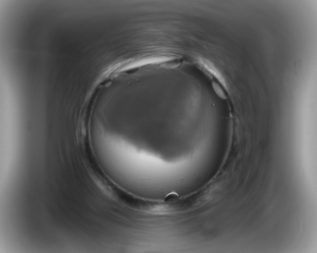 X0000086220059200704121904