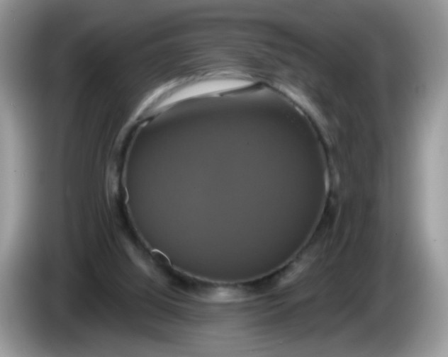 X0000086220060200704121904