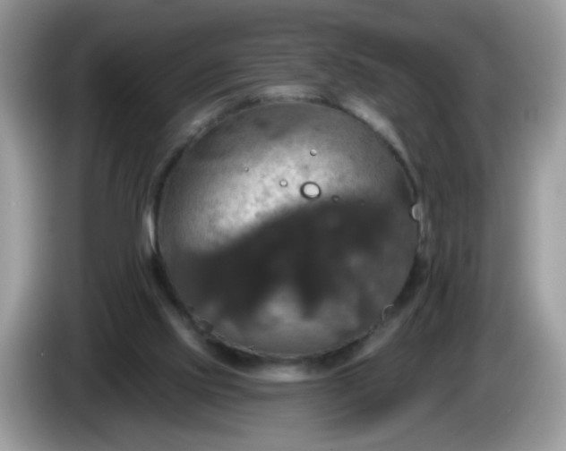 X0000086220061200704121904