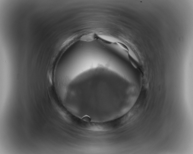 X0000086220062200704121904