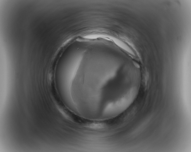 X0000086220063200704121904