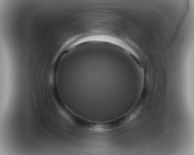 X0000086220064200704121904