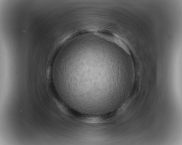 X0000086220066200704121904