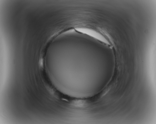 X0000086220067200704121904