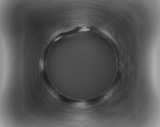 X0000086220068200704121904