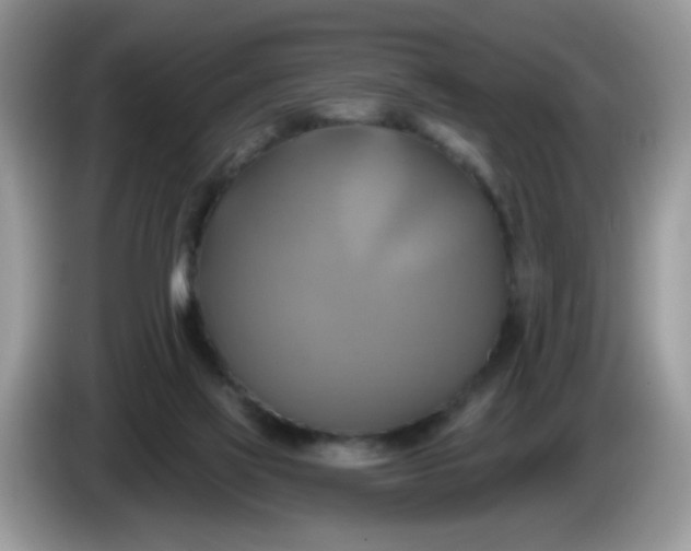 X0000086220069200704121904