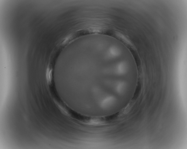 X0000086220070200704121904