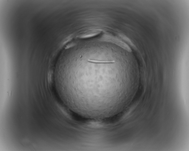 X0000086220071200704121904