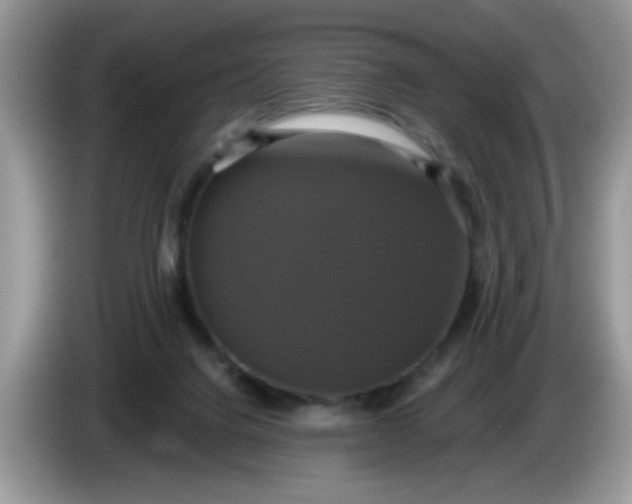 X0000086220072200704121904