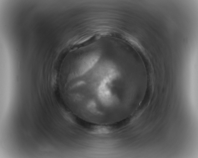 X0000086220073200704121904