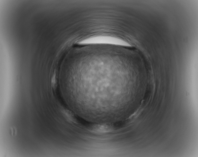 X0000086220074200704121905