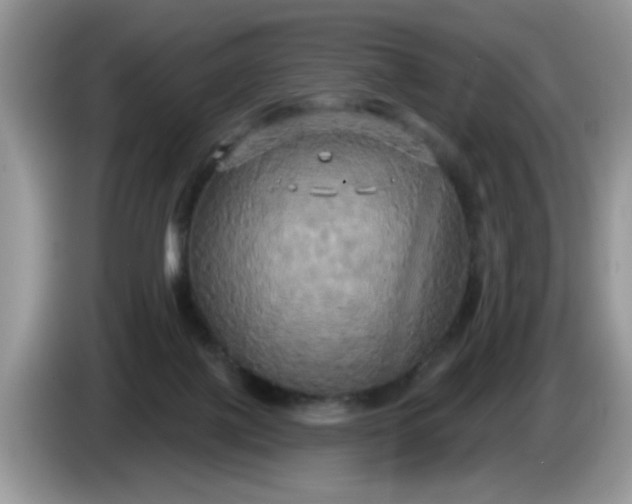 X0000086220075200704121905