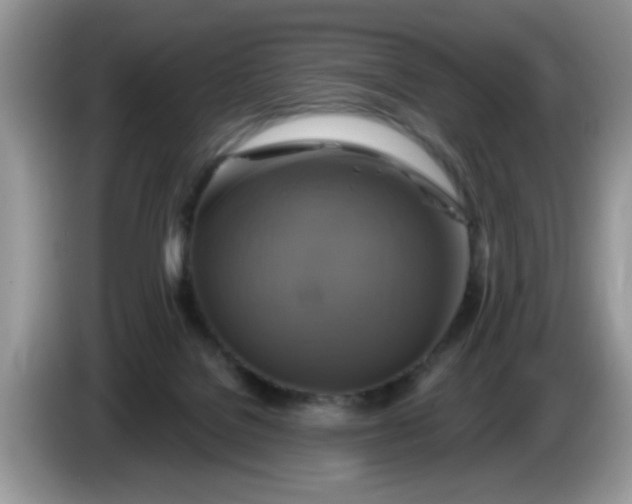 X0000086220076200704121905