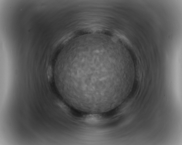 X0000086220077200704121905