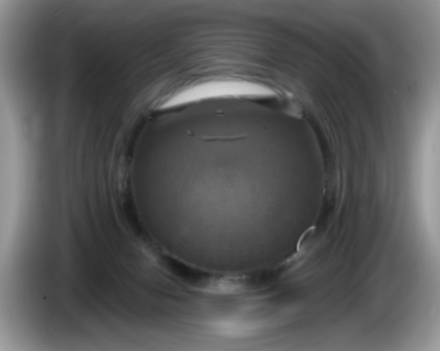 X0000086220078200704121905