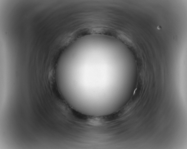 X0000086220079200704121905