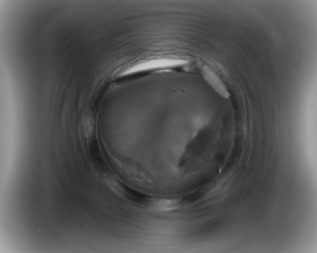 X0000086220081200704121905