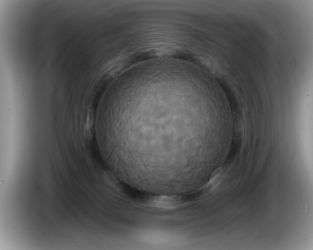 X0000086220082200704121905