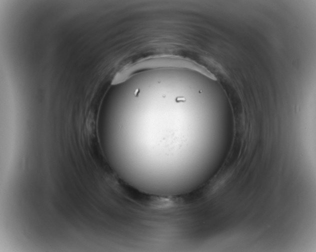 X0000086220083200704121905