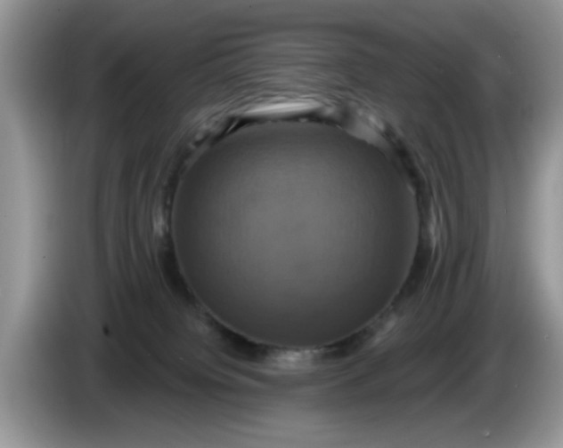 X0000086220084200704121905