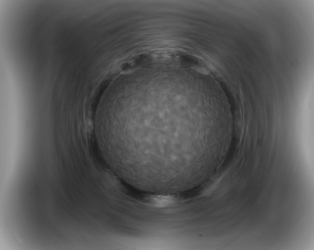 X0000086220085200704121905