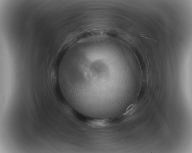 X0000086220086200704121905