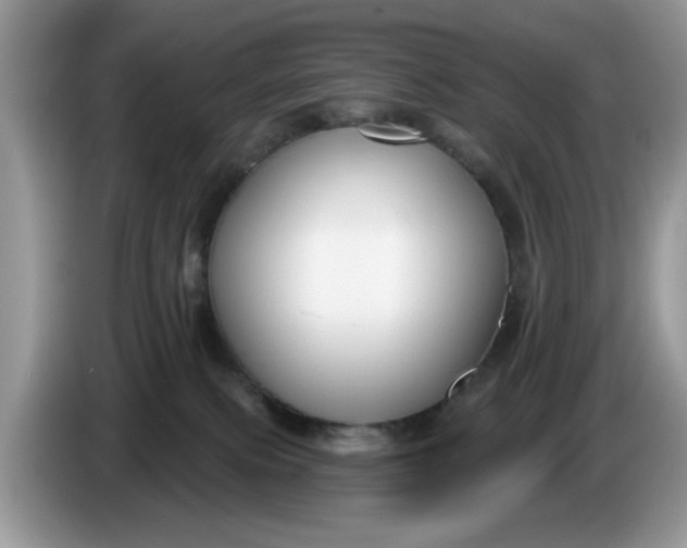 X0000086220087200704121905