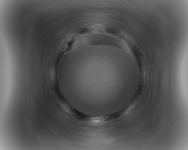 X0000086220088200704121905