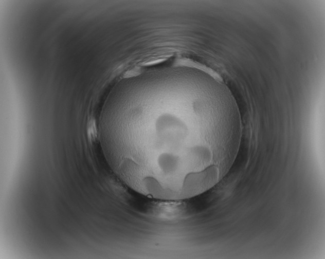 X0000086220089200704121905