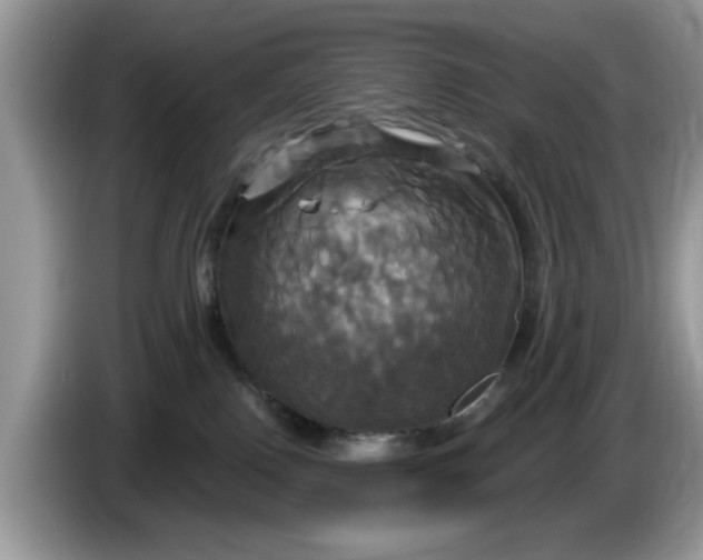 X0000086220090200704121905