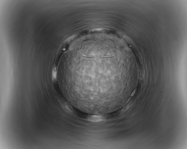 X0000086220095200704121905