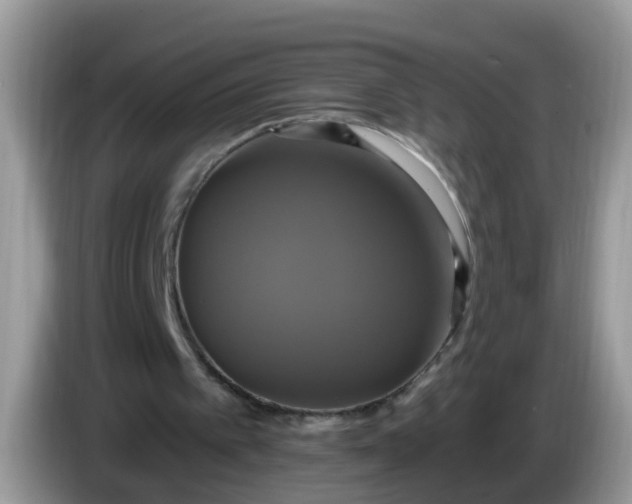 X0000086220097200704121904