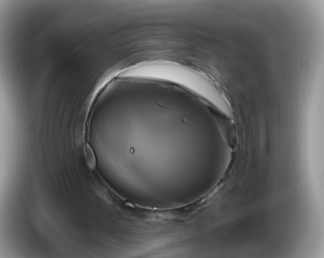 X0000086220099200704121904